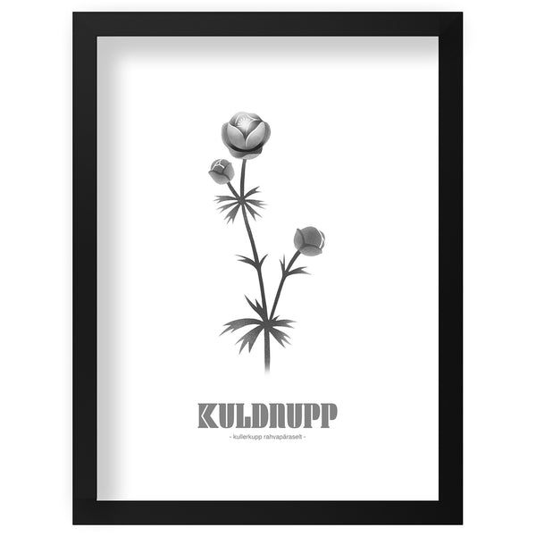 Print "Kuldnupp"