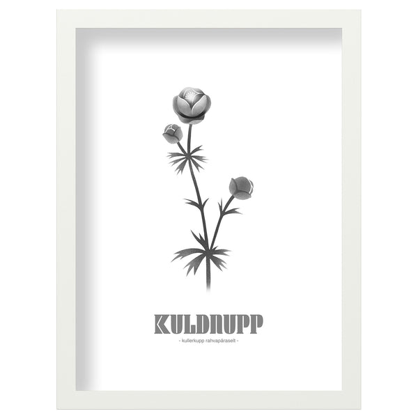 Print "Kuldnupp"