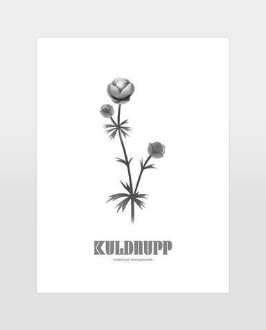 Print "Kuldnupp"