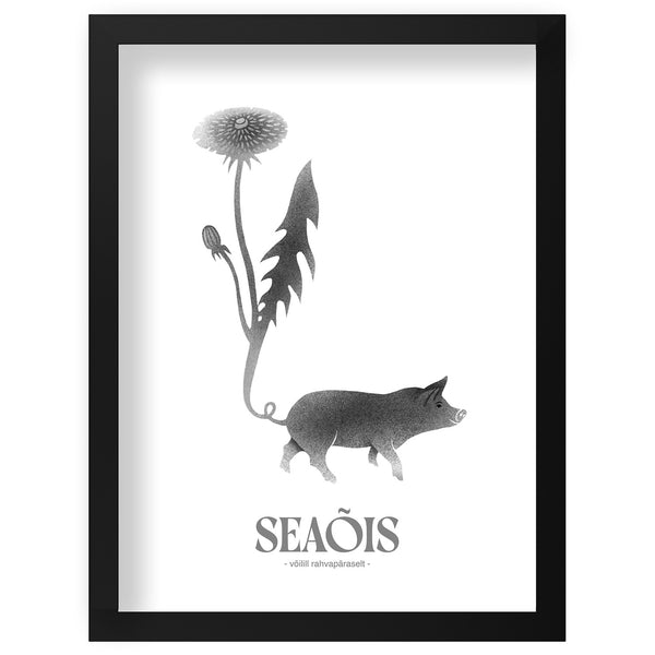 Print "Seaõis"