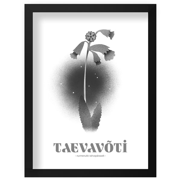 Print "Taevavõti"