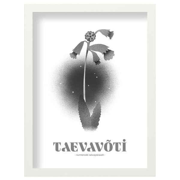 Print "Taevavõti"