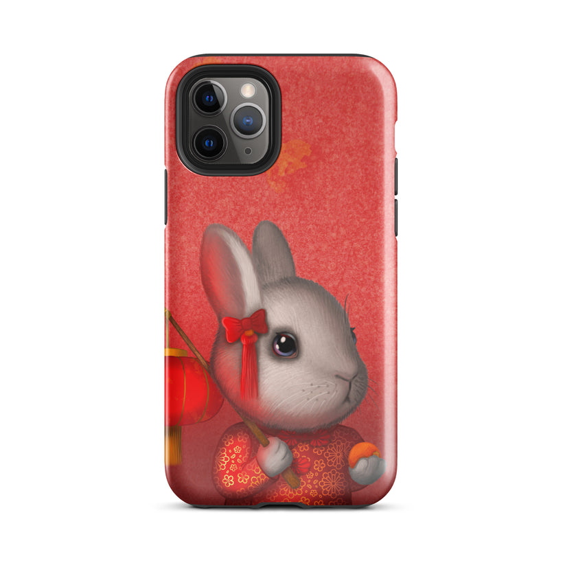 iPhone covers