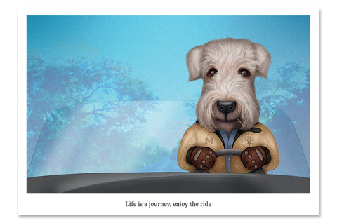 Postkaart "Elu on teekond, naudi sõitu" (Iiri pehmekarvaline nisuterjer)
