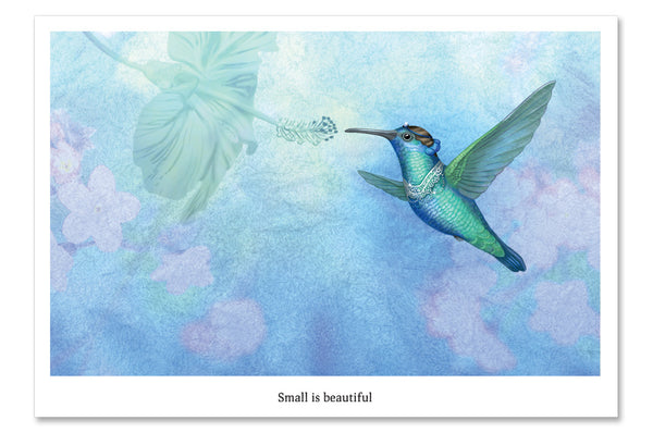 Postcard "Small is beautiful" (Hummingbird)