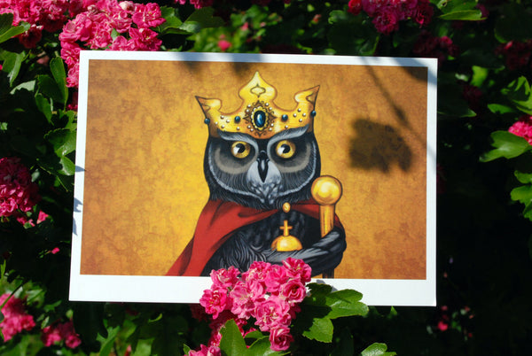 Postcard "Own eye is king" (Owl)