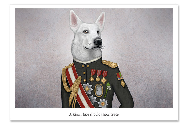 Postcard "A king's face should show grace" (White Swiss Shepherd Dog)