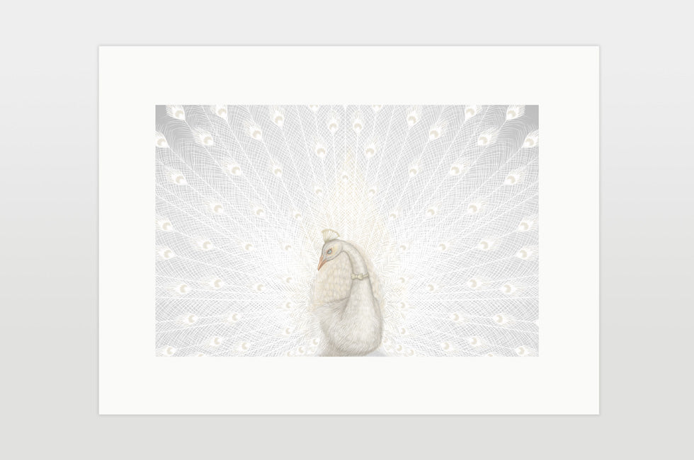 Print "Every bird is proud of its feathers" (White peacock)
